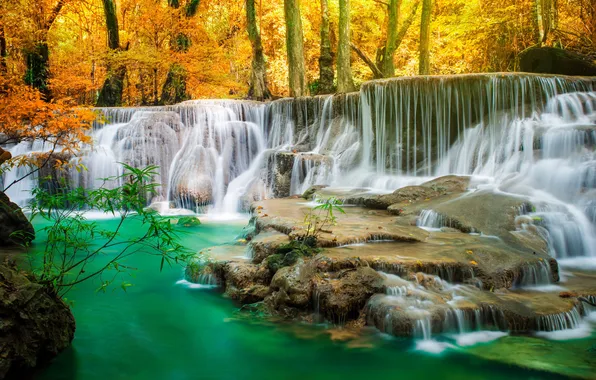 Осень, лес, деревья, ветки, природа, парк, камни, скалы