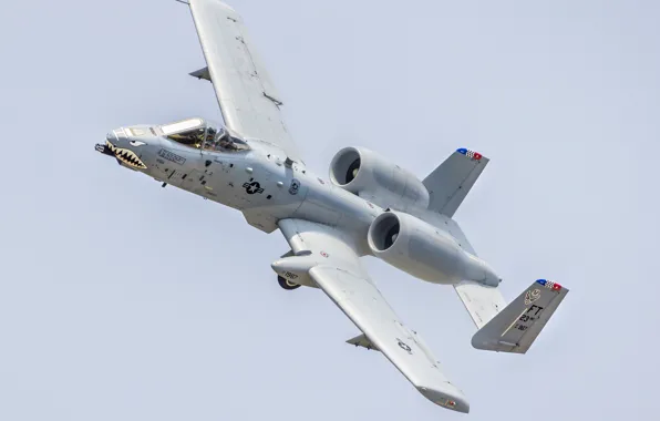 Оружие, самолёт, A-10