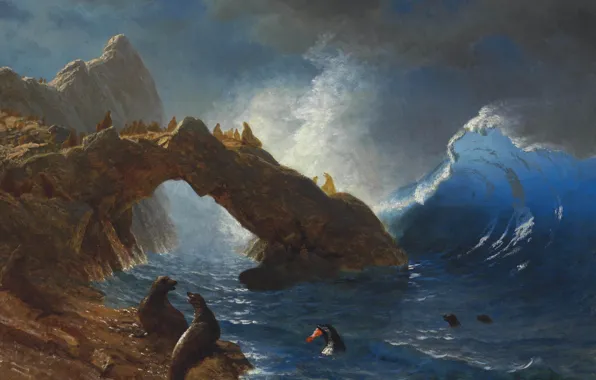 Животные, картина, морской пейзаж, Альберт Бирштадт, Тюлени на Скалах