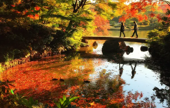 Картинка осень, листья, вода, деревья, пейзаж, отражение, люди, мостик