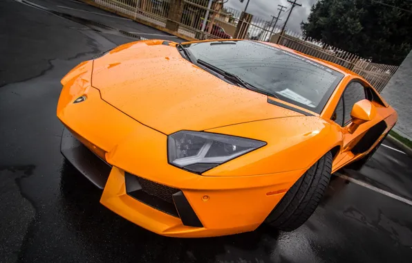 Картинка Lamborghini, Beach, LP700-4, Aventador, Newport