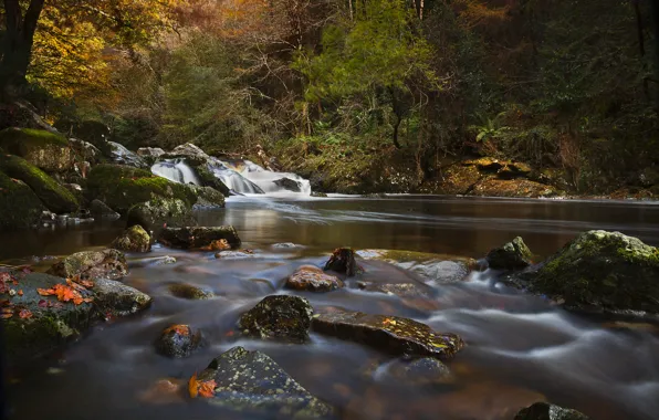 Картинка осень, лес, река, камни, Англия, Devon, England, River Erme