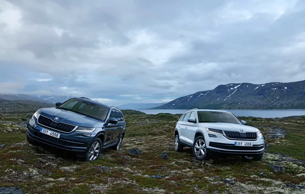 Растительность, бездорожье, SUV, Škoda, Skoda, 2016, Kodiaq