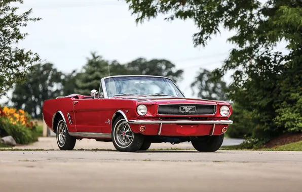 Картинка Mustang, Ford, мустанг, форд, 1966