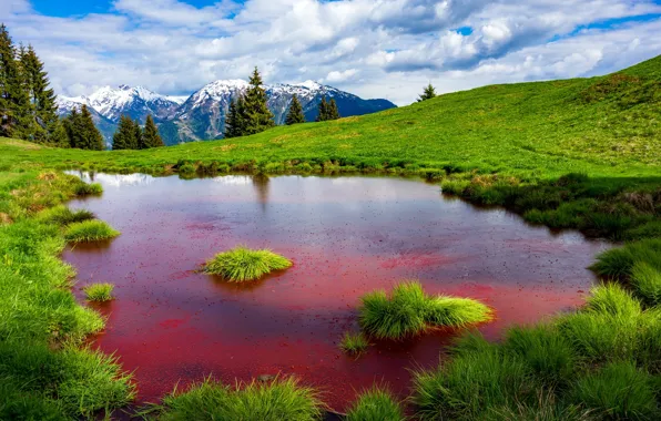 Зелень, лес, трава, вода, горы, озеро, красное, берег
