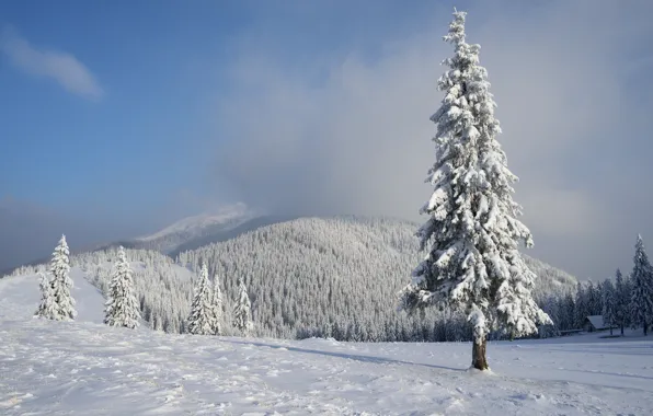 Зима, солнце, облака, лучи, снег, горы, туман, вершины