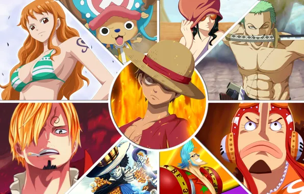 Nami, chopper, monkey d luffy, usopp, roronoa zoro, one piece, franky, brook