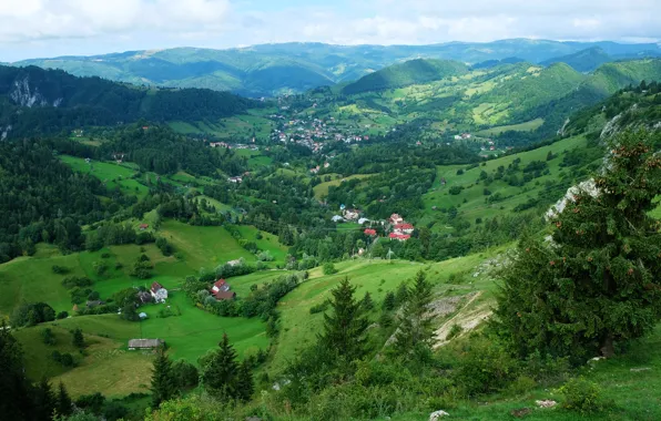 Зелень, лес, небо, облака, деревья, горы, долина, панорама