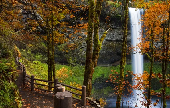 Картинка осень, деревья, скала, парк, водопад, ограждение, США, тропинка