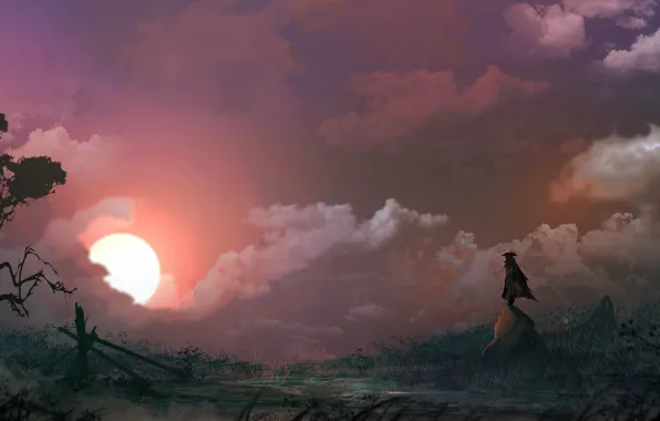 Картинка солнце, закат, дерево, скалы, шляпа, фигура, мужчина