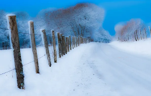 Картинка зима, дорога, снег, забор