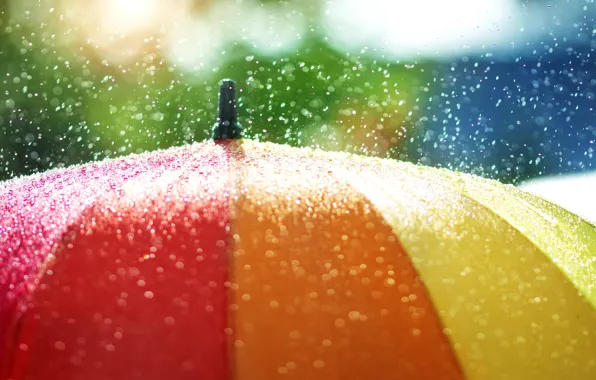 Капли, дождь, настроение, цвет, зонт