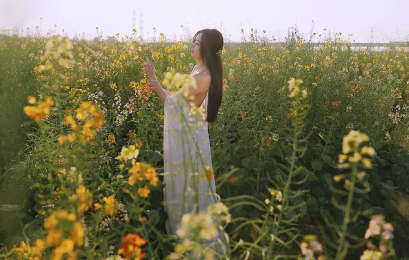 Beautiful, Asian, Model, Flowers, Woman, Cute, Pretty, Sunny