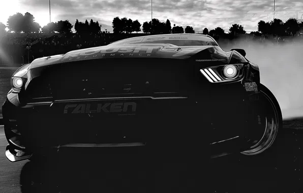HDR, Drift, Game, FM7, UHD, Forza Motorsport 7, Black & White, Xbox One X