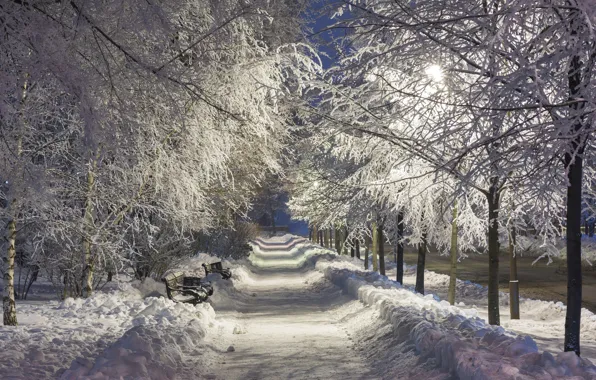 Картинка зима, снег, ночь, парк, night, park, winter, snow