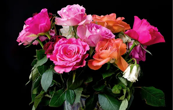 Фон, розы, букет, colorful, розовые, красивые, Roses, background
