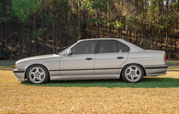 Картинка BMW, E34, 5-Series, M5