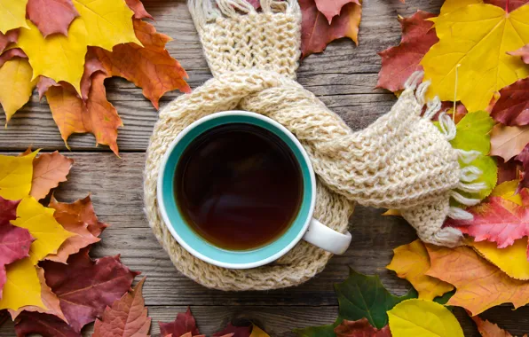Картинка осень, листья, шарф, wood, autumn, leaves, coffee cup, чашка кофе