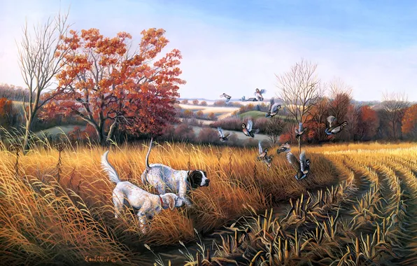 Картинка поле, осень, утки, собака, живопись, Bird Dog Country, John S. Eberhardt, собака для охоты на …