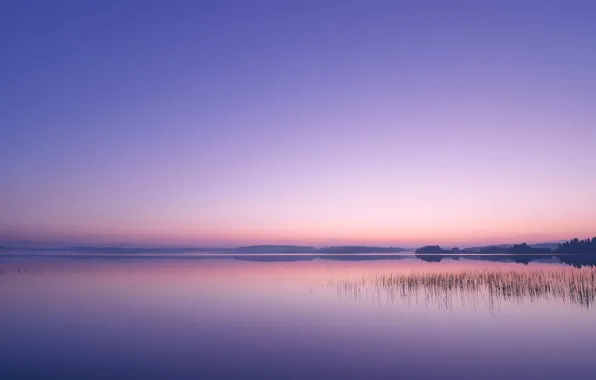 Лес, небо, вода, закат, река, камыши, вечер, горизонт