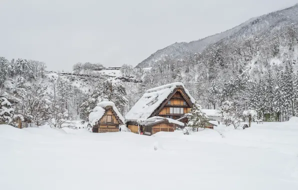 Зима, снег, деревья, пейзаж, природа, зимний, домик, house