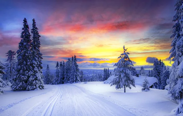 Картинка зима, дорога, лес, небо, облака, снег, деревья, закат