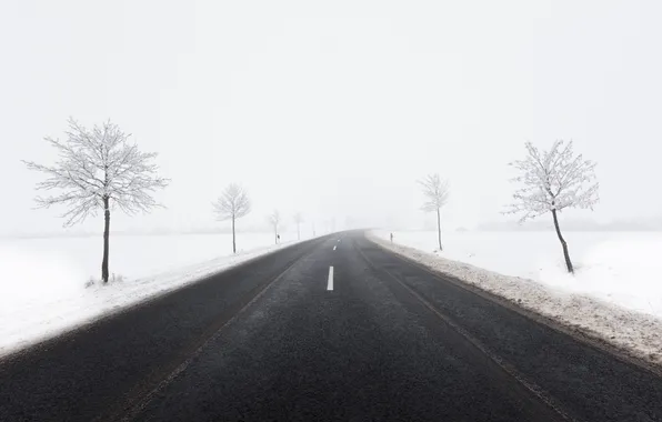 Картинка зима, дорога, снег, деревья, туман
