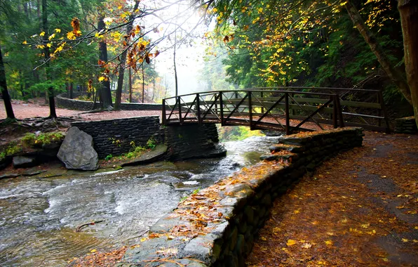 Картинка осень, деревья, мост, парк, ручей
