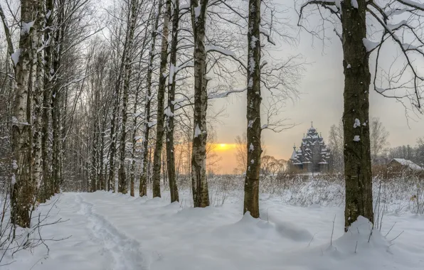 Церковь, аллея, Ленинградская область