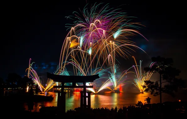 Картинка lights, new year, night, fireworks, Asia, pines, torii