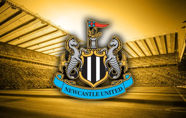 Wallpaper, logo, stadium, football, England, St. James's Park, Newcastle United