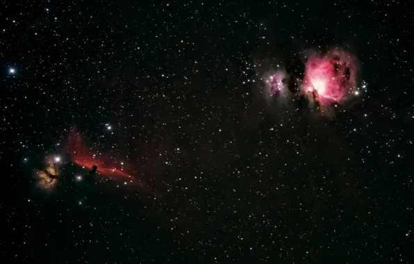 Картинка космос, звезды, Orion, Horsehead