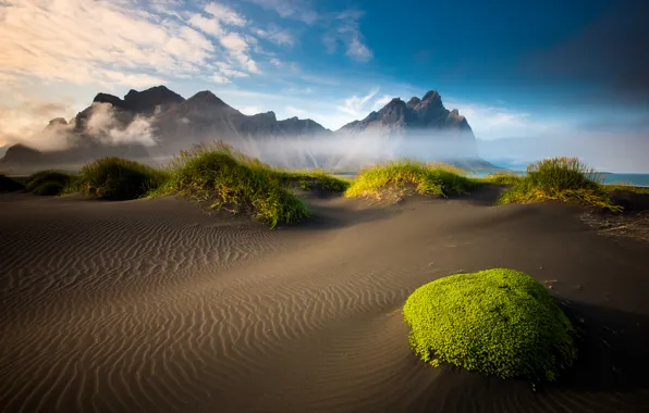 Картинка песок, море, пляж, облака, горы, мох, Исландия