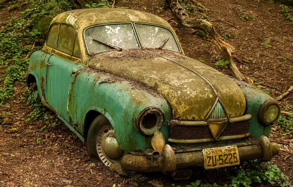 Картинка лес, брошенный, ржавчина, старый, автомобиль
