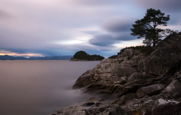 Море, небо, облака, камни, дерево, пасмурно, скалы, ветви