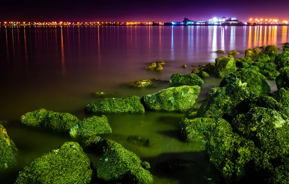 Картинка водоросли, ночь, город, огни, камни, порт, залив