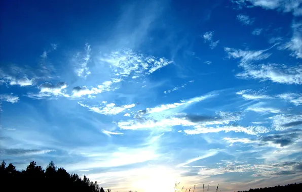 Осень, небо, закат