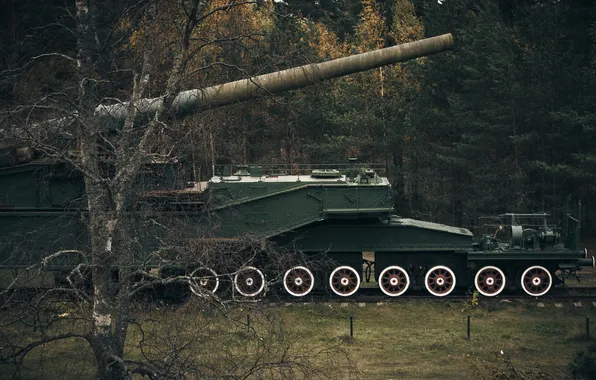 Green, forest, vehicle, artillery