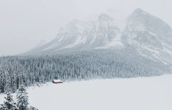 Картинка зима, лес, снег, горы, Alberta, Lake Louise, Canada