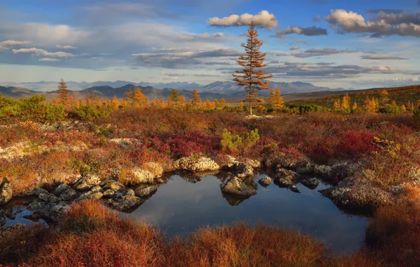 Картинка осень, пейзаж, горы, природа, камни, растительность, водоём, Колыма