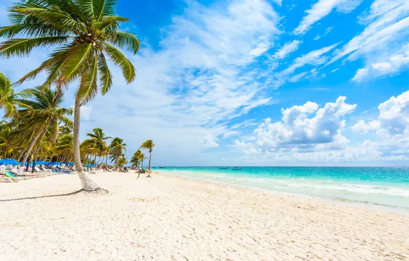 Beach, palm trees, relaxation