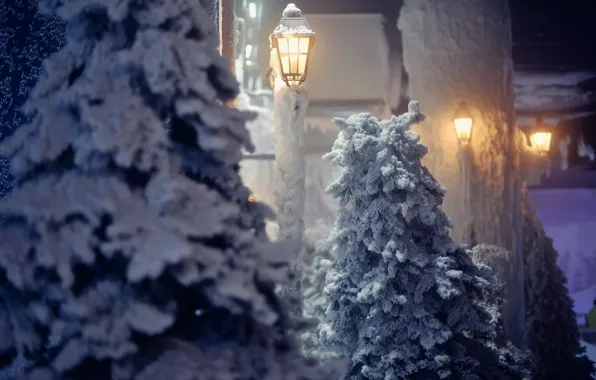 Зима, снег, деревья, природа, фонарь