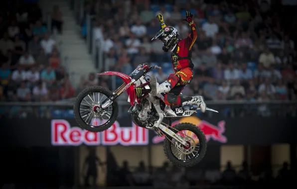 Мото, red bull, x-fighters hd wallpapers, nate adams, x games
