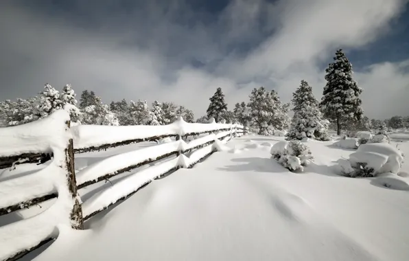 Картинка зима, снег, забор