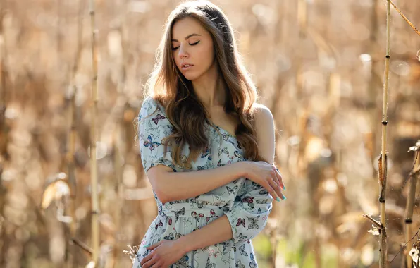 Картинка wallpaper, girl, field, eyes, closed