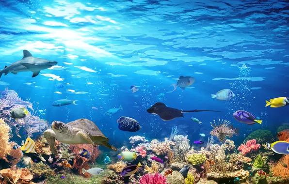 Colorful, deep, blue, background, color, coral, aquarium, abyss