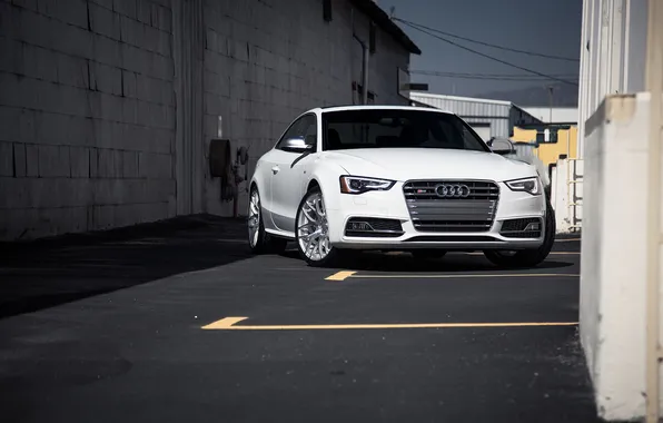 Audi, ауди, белая, перед, white, front
