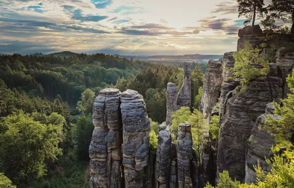 Картинка небо, облака, деревья, высота, красота, простор, sky, trees