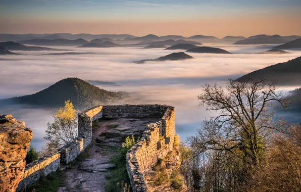 Картинка Sunrise, Castle, Mountains, Mist, Fog, Forest, Hills, Palatinate
