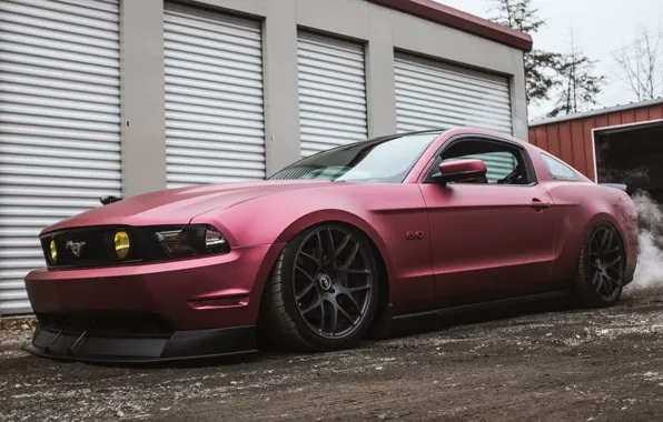 Mustang, Ford, 5.0
